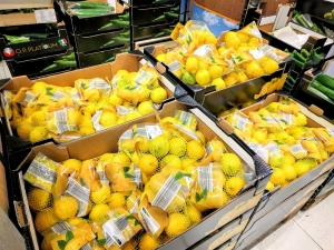 マルタ留学中にオススメの格安スーパーLidlで販売されていたレモン